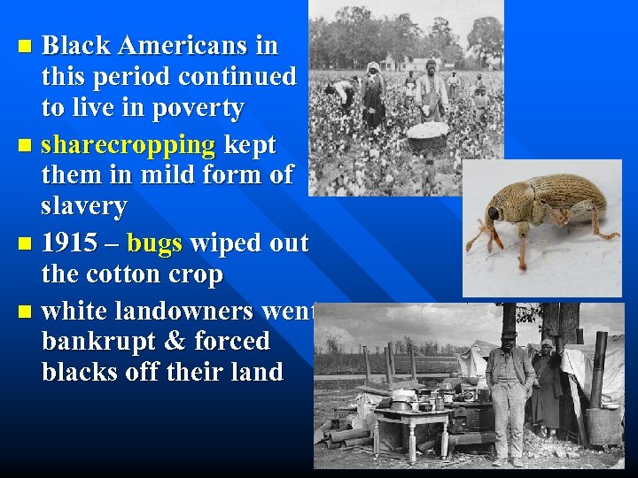 Black Americans in this period continued to live in poverty n sharecropping kept them