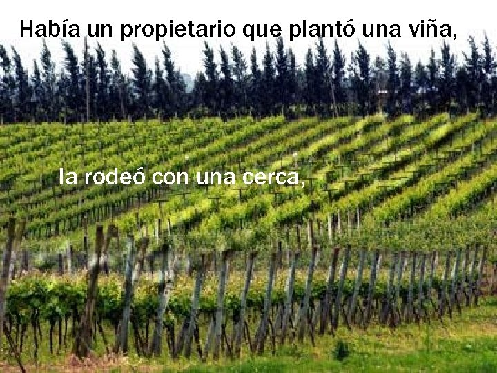 Había un propietario que plantó una viña, la rodeó con una cerca, 