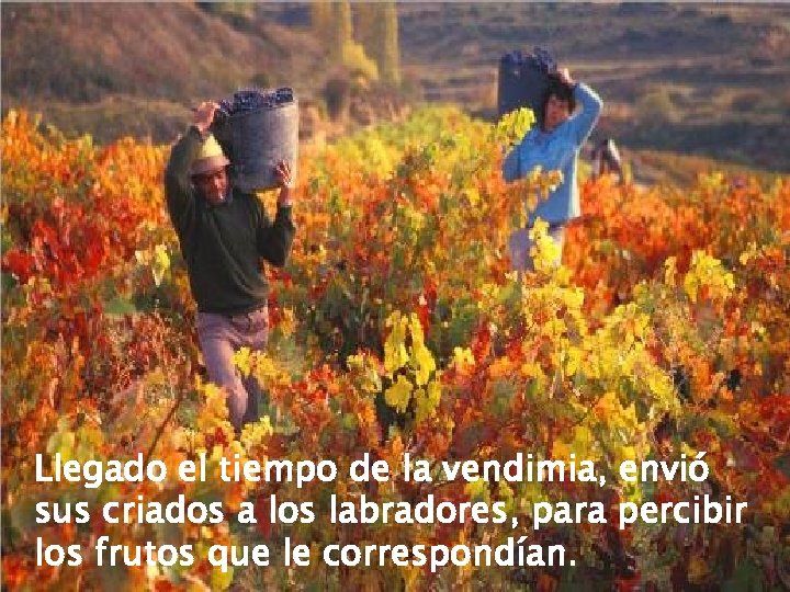 Llegado el tiempo de la vendimia, envió sus criados a los labradores, para percibir