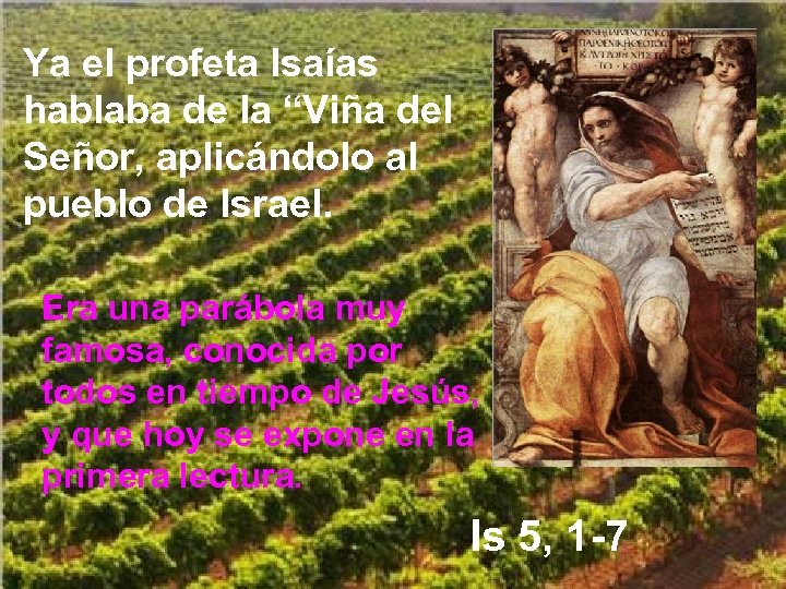 Ya el profeta Isaías hablaba de la “Viña del Señor, aplicándolo al pueblo de