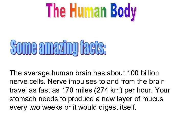 The average human brain has about 100 billion nerve cells. Nerve impulses to and