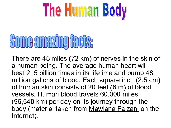 There are 45 miles (72 km) of nerves in the skin of a human