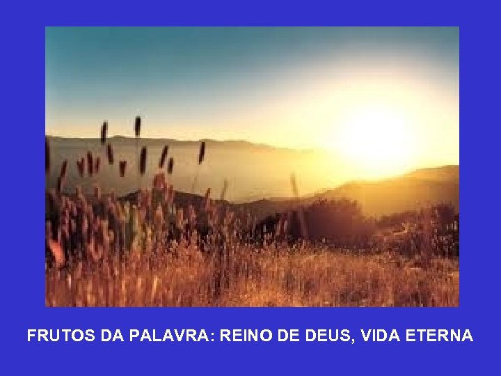 FRUTOS DA PALAVRA: REINO DE DEUS, VIDA ETERNA 