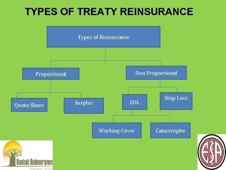 TYPES OF TREATY REINSURANCE Types of Reinsurance Non Proportional Quota Share Surplus XOL Working