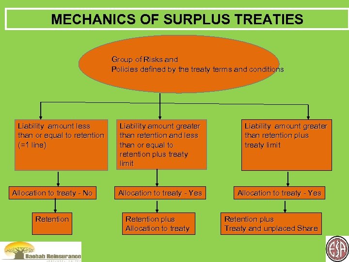 MECHANICS OF SURPLUS TREATIES Group of Risks and Policies defined by the treaty terms