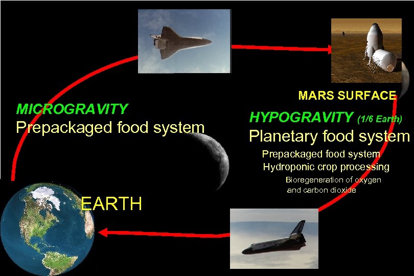 MICROGRAVITY Prepackaged food system MARS SURFACE HYPOGRAVITY (1/6 Earth) Planetary food system Prepackaged food