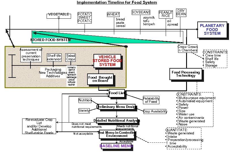 Implementation Timeline for Food System POTATO SWEET POTATO VEGETABLE S WHEAT bread pasta cereal