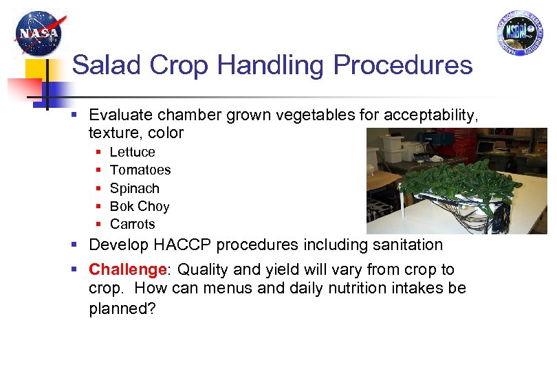 Salad Crop Handling Procedures § Evaluate chamber grown vegetables for acceptability, texture, color §