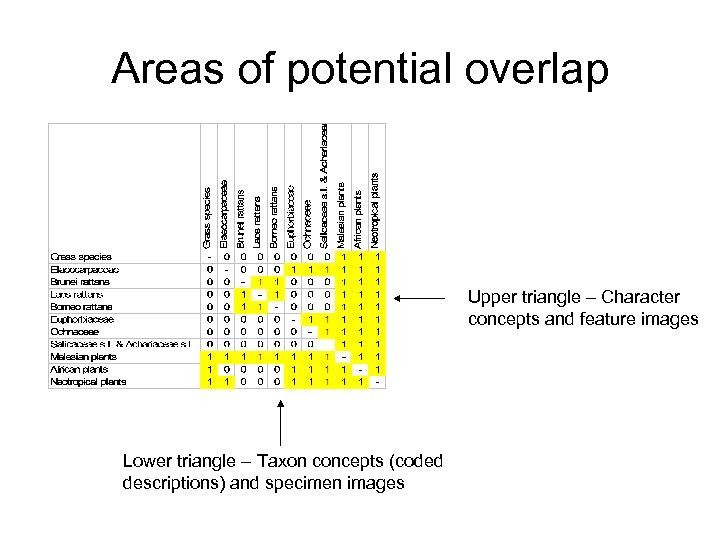 Areas of potential overlap Upper triangle – Character concepts and feature images Lower triangle