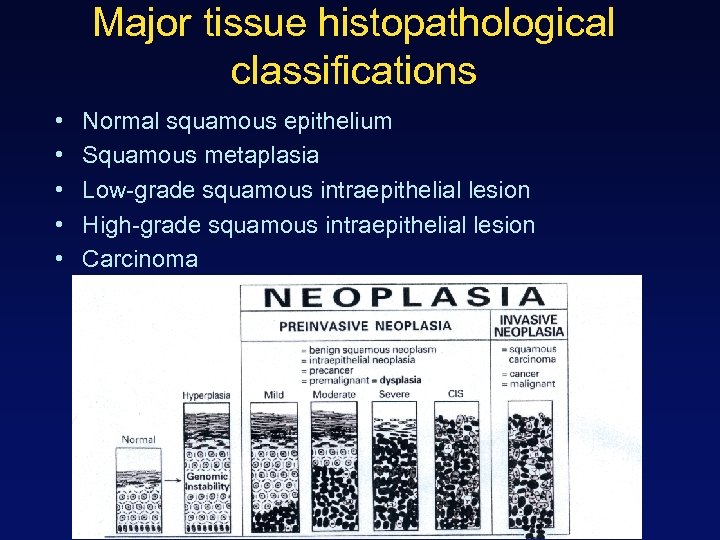 Major tissue histopathological classifications • • • Normal squamous epithelium Squamous metaplasia Low-grade squamous