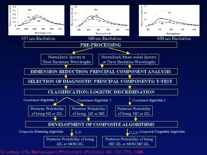  337 nm Excitation 380 nm Excitation 460 nm Excitation PRE-PROCESSING Normalized Spectra at