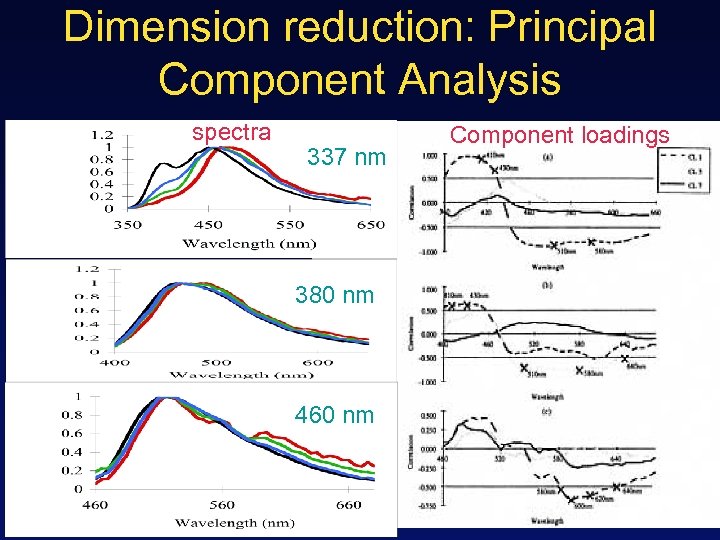 Dimension reduction: Principal Component Analysis spectra 337 nm 380 nm 460 nm Component loadings