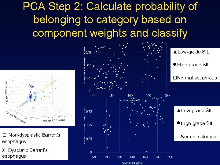 PCA Step 2: Calculate probability of belonging to category based on component weights and