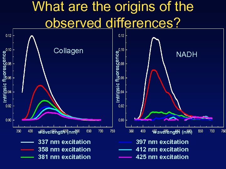 Collagen wavelength (nm) 337 nm excitation 358 nm excitation 381 nm excitation Intrinsic fluorescence