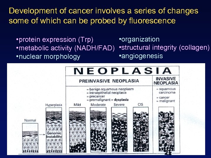 Development of cancer involves a series of changes some of which can be probed
