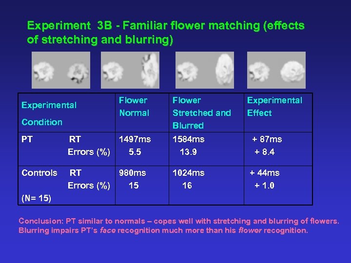 Experiment 3 B - Familiar flower matching (effects of stretching and blurring) Experimental Condition