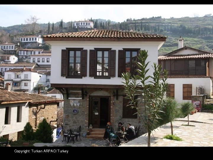 Copyright: Turkan ARPACI Turkey 