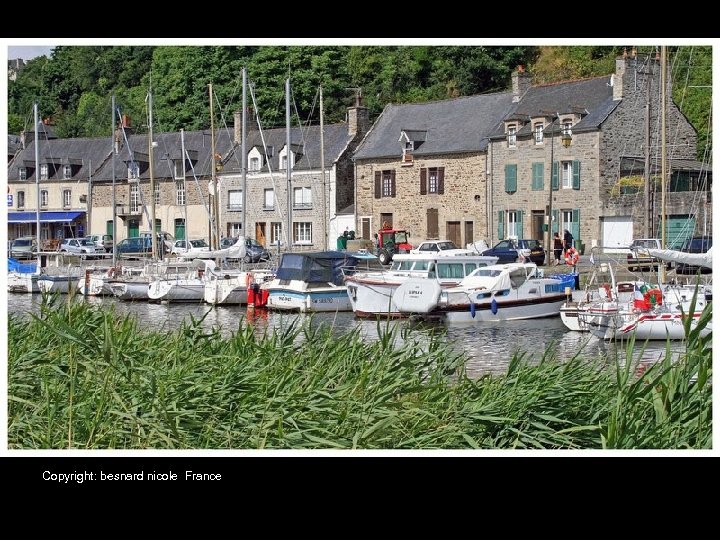 Copyright: besnard nicole France 