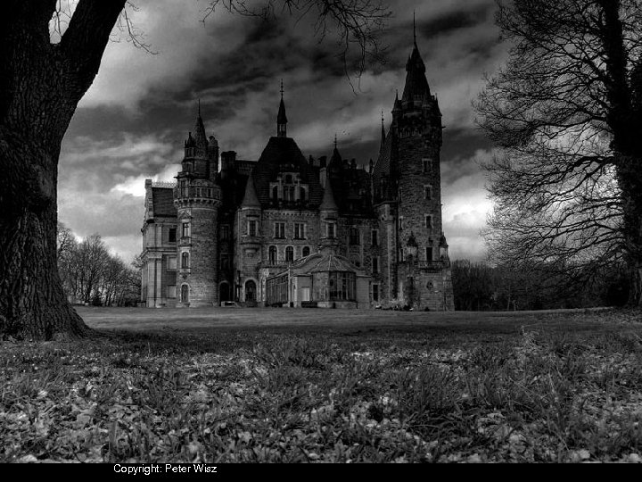 Copyright: Peter Wisz 