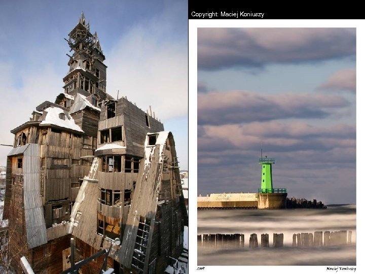 Copyright: Maciej Koniuszy 