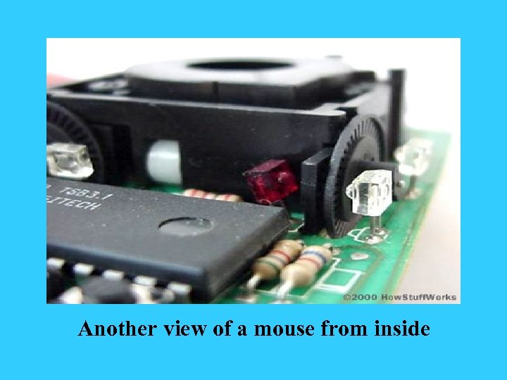 Another view of a mouse from inside 