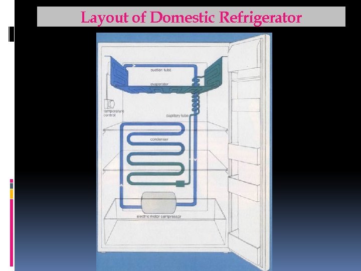 Layout of Domestic Refrigerator For Support notes, please visit: www. arpradeep. tk 