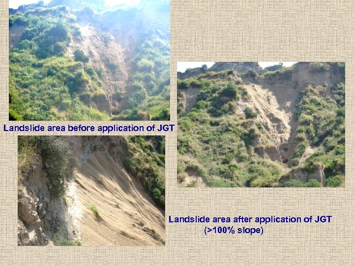 Landslide area before application of JGT Landslide area after application of JGT (>100% slope)