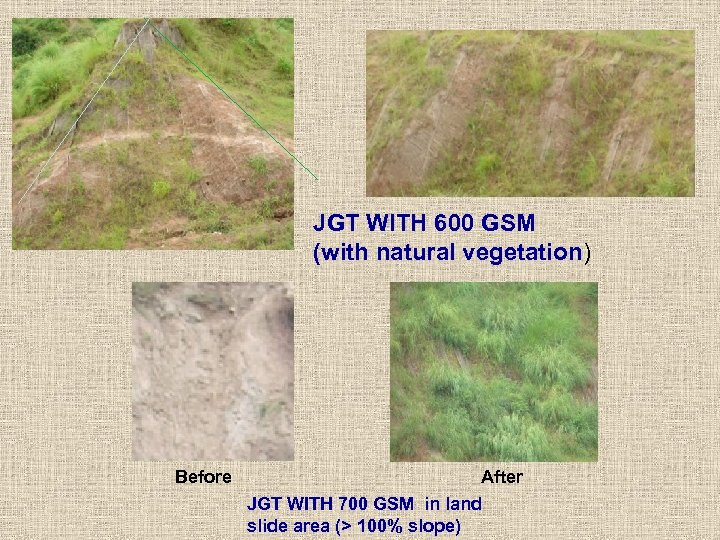 JGT WITH 600 GSM (with natural vegetation) Before After JGT WITH 700 GSM in