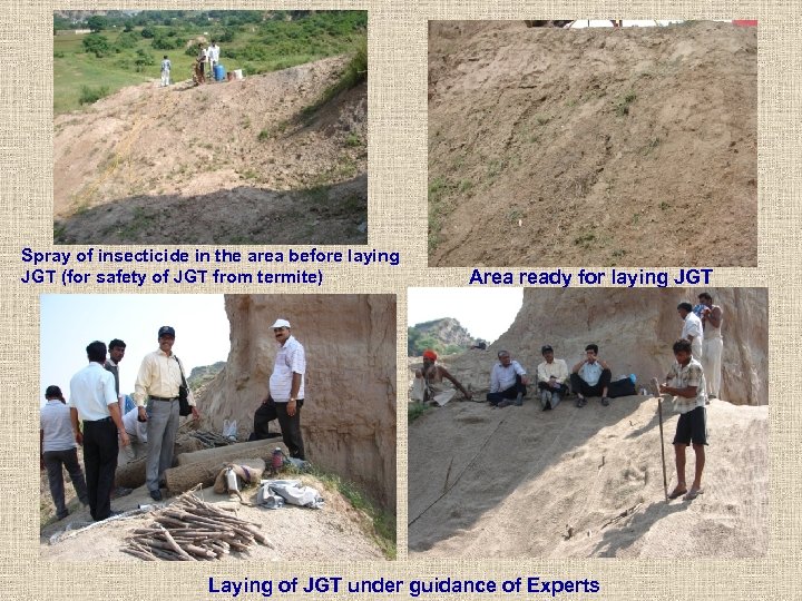Spray of insecticide in the area before laying JGT (for safety of JGT from