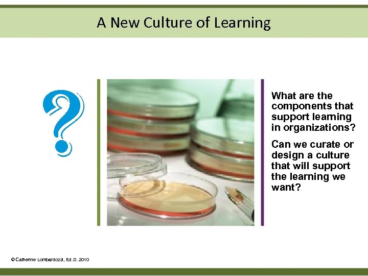 A New Culture of Learning ? © Catherine Lombardozzi, Ed. D. 2010 What are