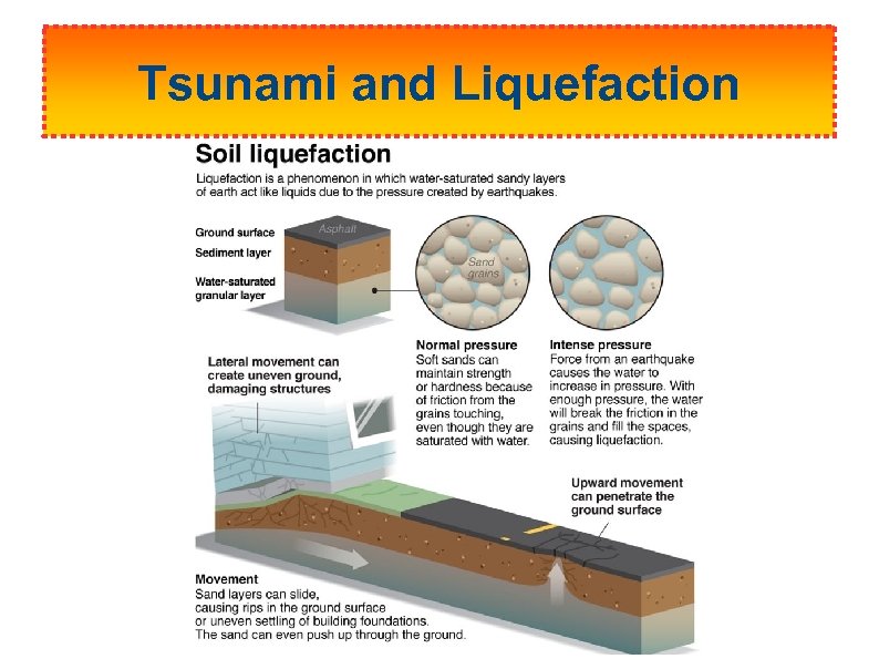 Tsunami and Liquefaction 