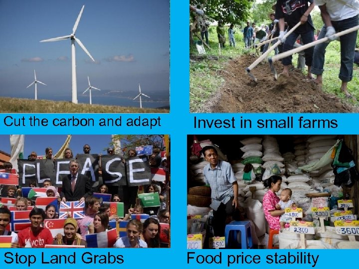 Cut the carbon and adapt Stop Land Grabs Invest in small farms Food price
