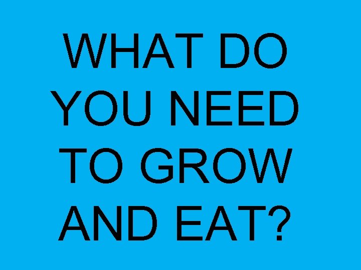 WHAT DO YOU NEED TO GROW AND EAT? 