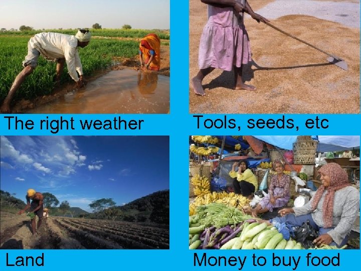 The right weather Tools, seeds, etc Land Money to buy food 