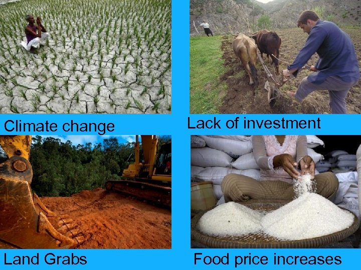 Climate change Land Grabs Lack of investment Food price increases 
