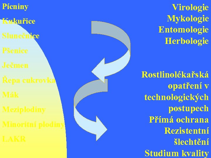 Pícniny Kukuřice Slunečnice Virologie Mykologie Entomologie Herbologie Pšenice Ječmen Řepa cukrovka Mák Meziplodiny Minoritní
