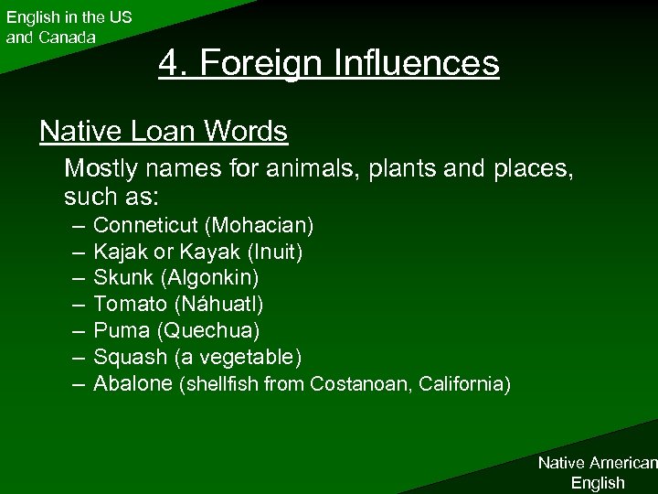 English in the US and Canada 4. Foreign Influences Native Loan Words Mostly names