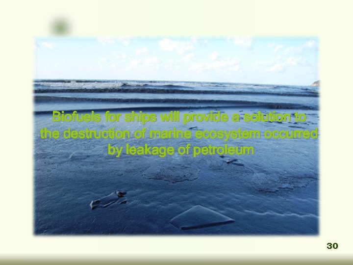 Biofuels for ships will provide a solution to the destruction of marine ecosystem occurred