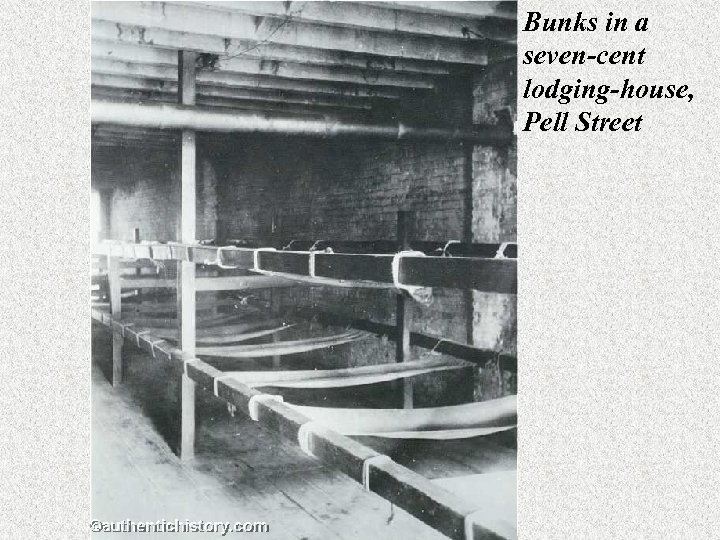 Bunks in a seven-cent lodging-house, Pell Street 