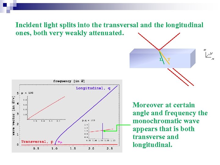 Incident light splits into the transversal and the longitudinal ones, both very weakly attenuated.