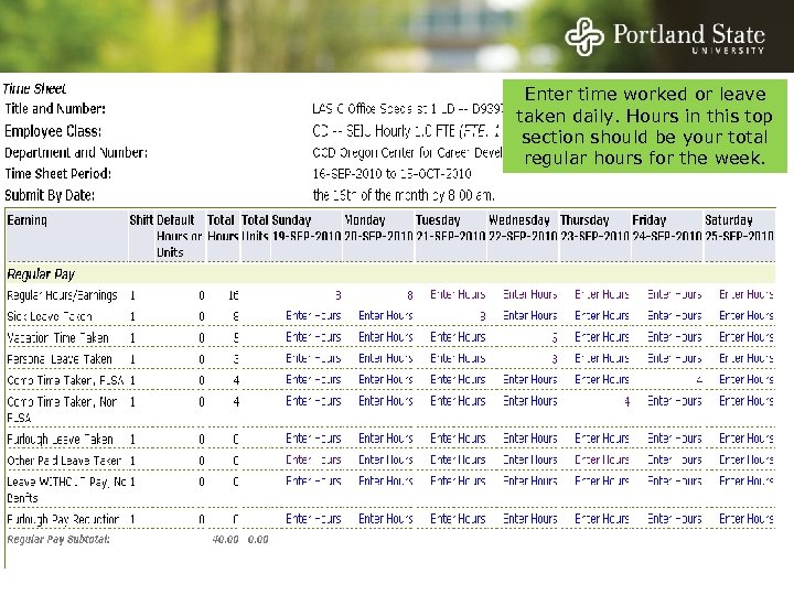 Enter time worked or leave taken daily. Hours in this top section should be