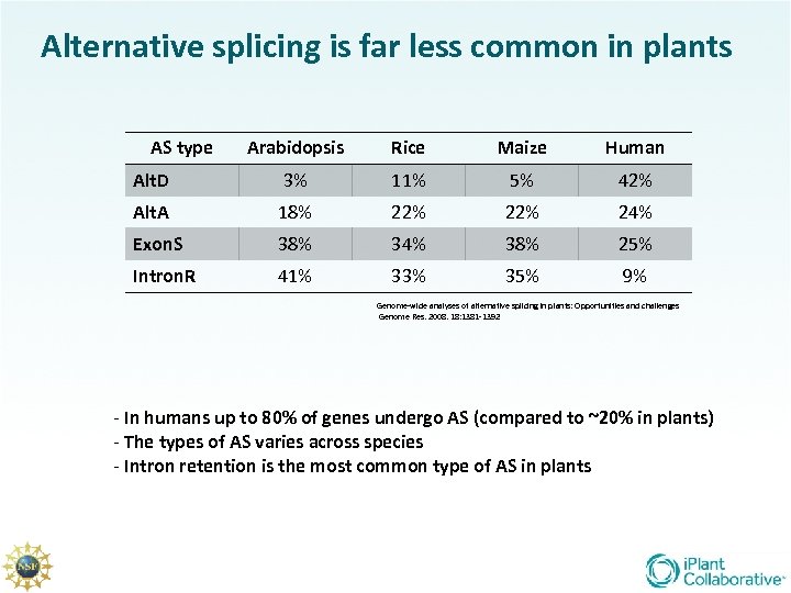 Alternative splicing is far less common in plants AS type Arabidopsis Rice Maize Human
