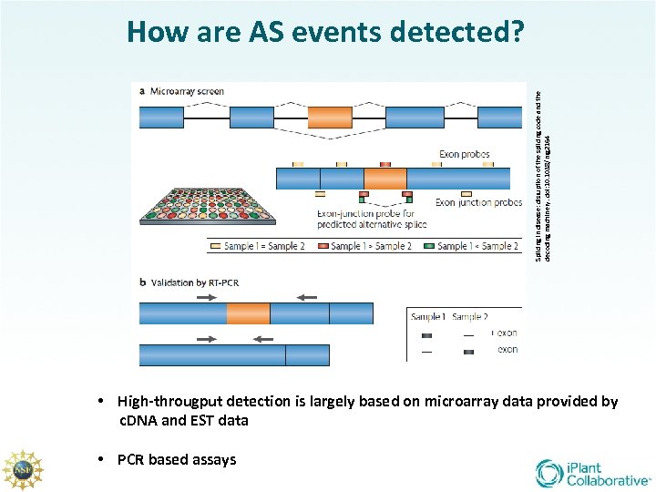 Splicing in disease: disruption of the splicing code and the decoding machinery. doi: 10.