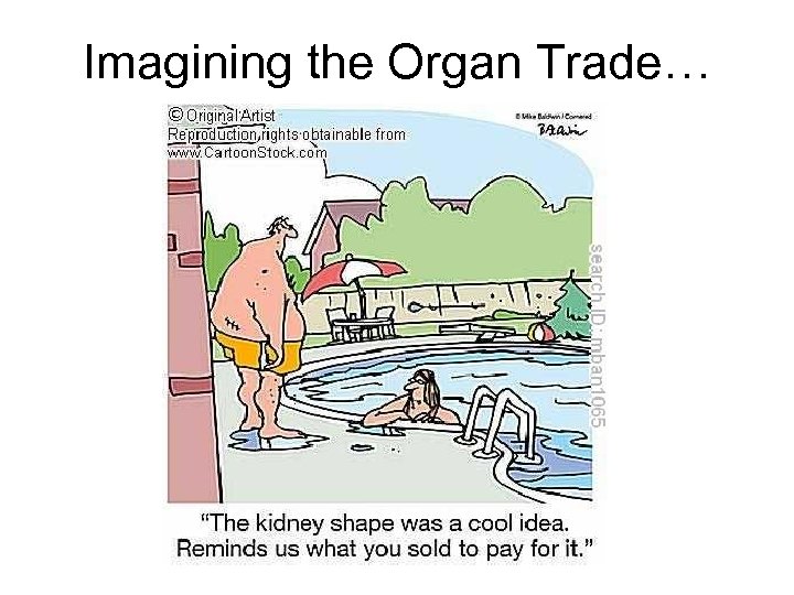 Imagining the Organ Trade… 