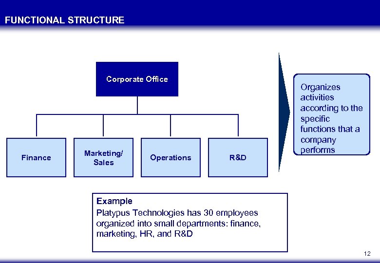 FUNCTIONAL STRUCTURE Corporate Office Finance Marketing/ Sales Operations R&D Organizes activities according to the