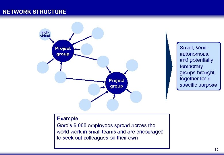 NETWORK STRUCTURE Individual Project group Small, semiautonomous, and potentially temporary groups brought together for