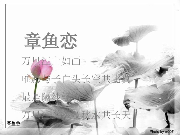 章鱼恋 万里江山如画 唯愿与子白头长空共比翼 最是隔纱轻吻 万里江山不及秋水共长天 章鱼恋 