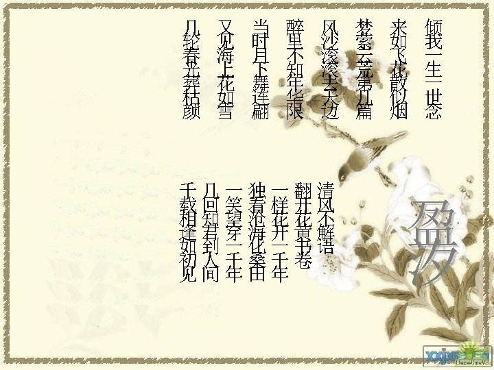 几 轮 春 光 葬 枯 颜 又 见 海 上 花 如 雪