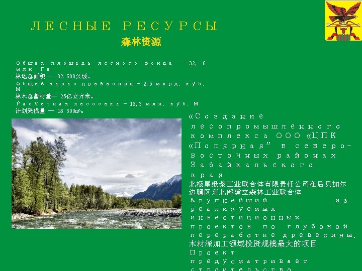 ЛЕСНЫЕ РЕСУРСЫ 森林资源 Общая площадь лесного фонда – 32, 6 млн. Га 林地总面积 --