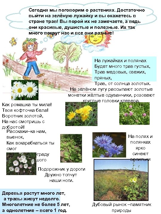 Сегодня мы поговорим о растениях. Достаточно выйти на зелёную лужайку и вы окажетесь в